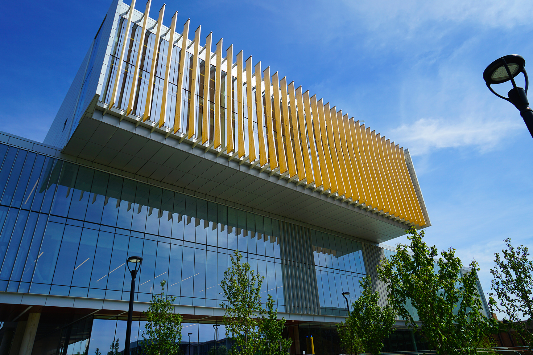 Branded glass window displaying the York University logo and design
elements.